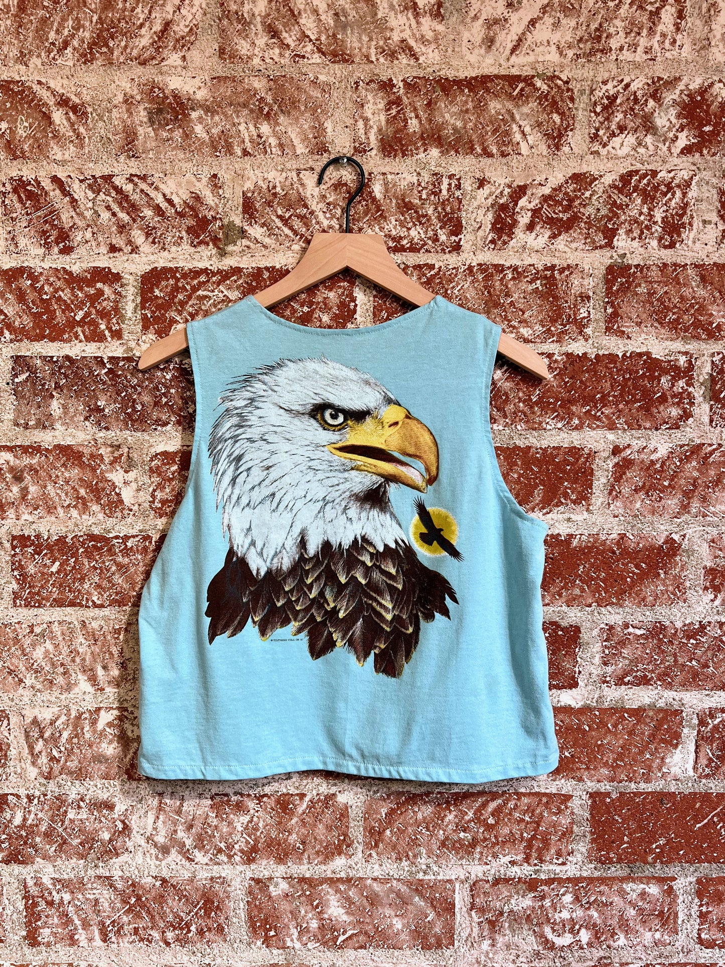 Remade Tank S: Bald Eagle 1987