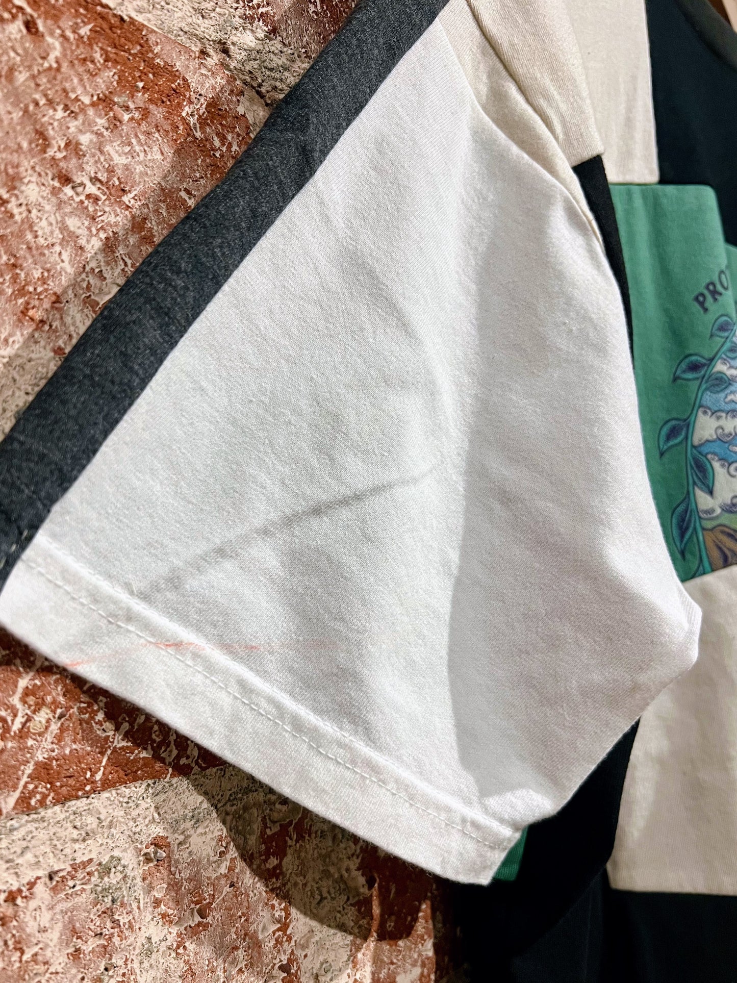 Remade Tee L: Protect Preserve Enjoy