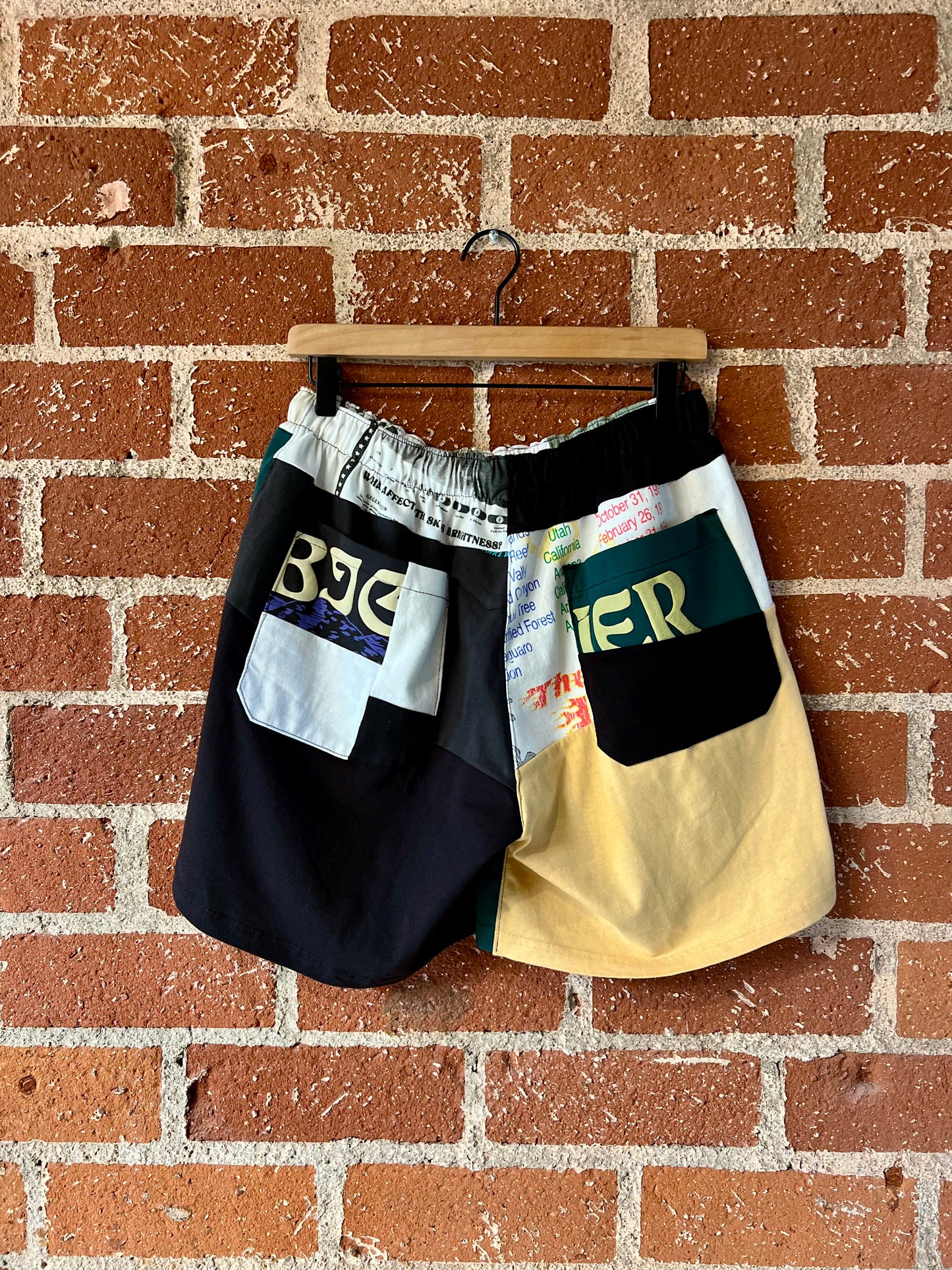 Remade Shorts L: National Parks Project