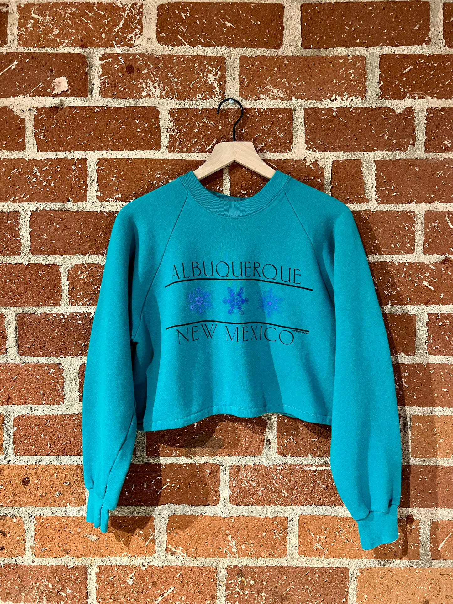 Vintage Cropped Crew XS: Albuquerque