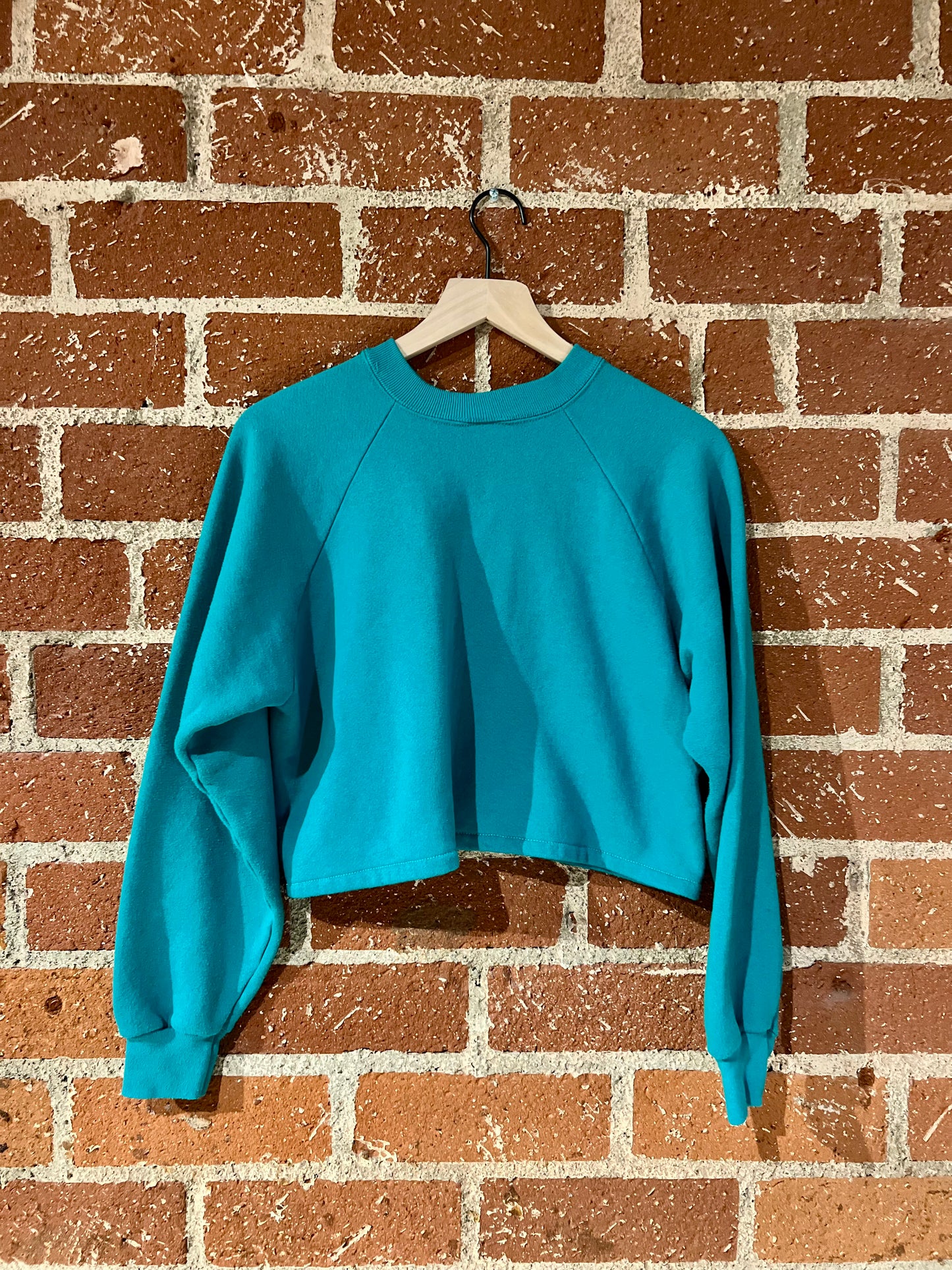 Vintage Cropped Crew XS: Albuquerque