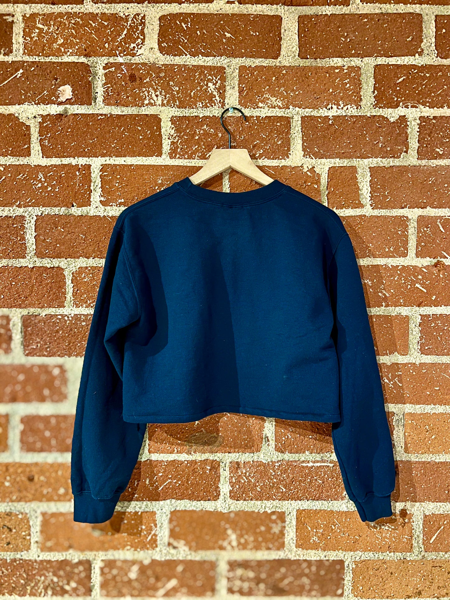 Vintage Cropped Crew XS: Denver