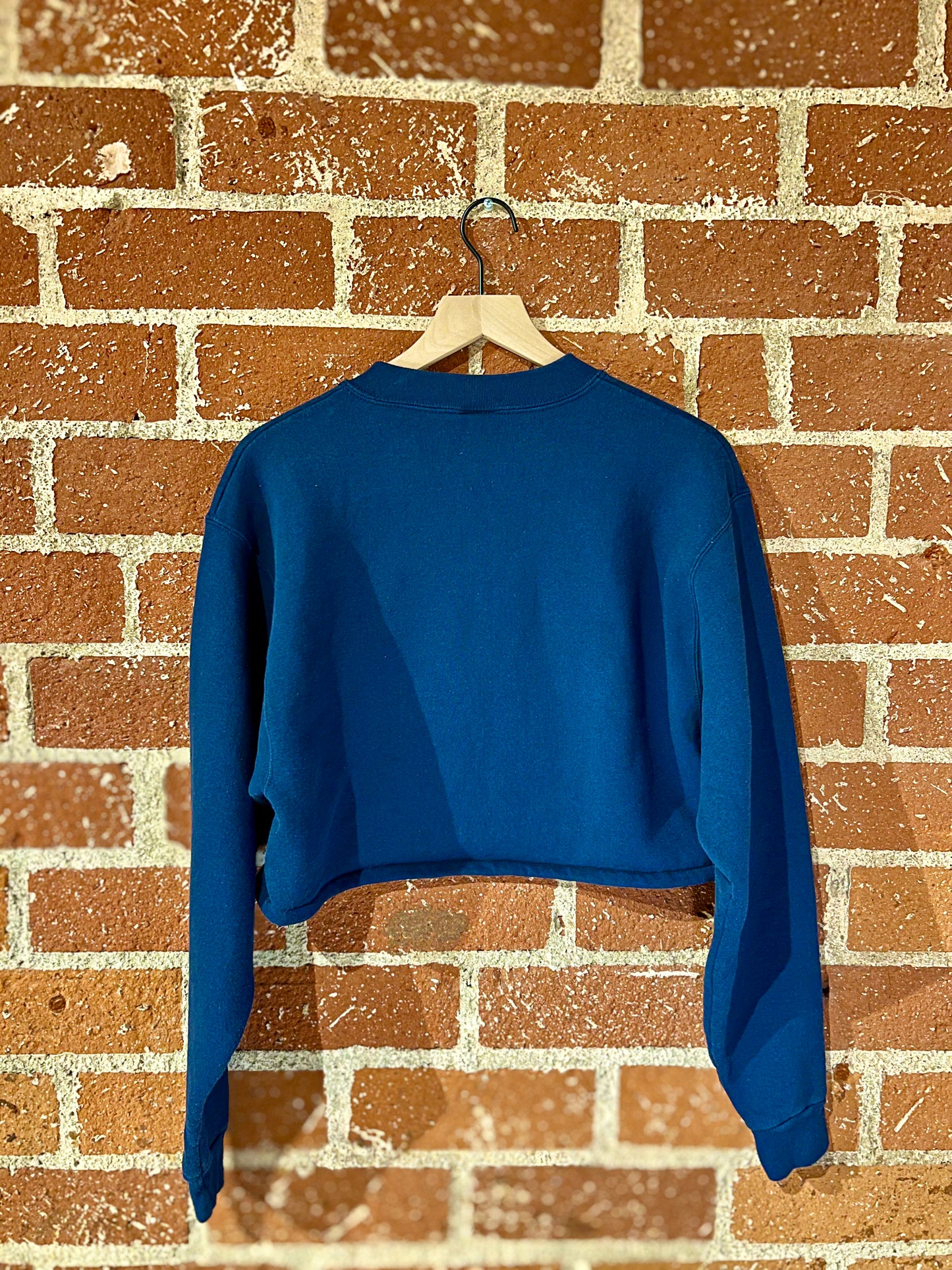 Vintage Cropped Crew M: Colorado Rocky Mountains
