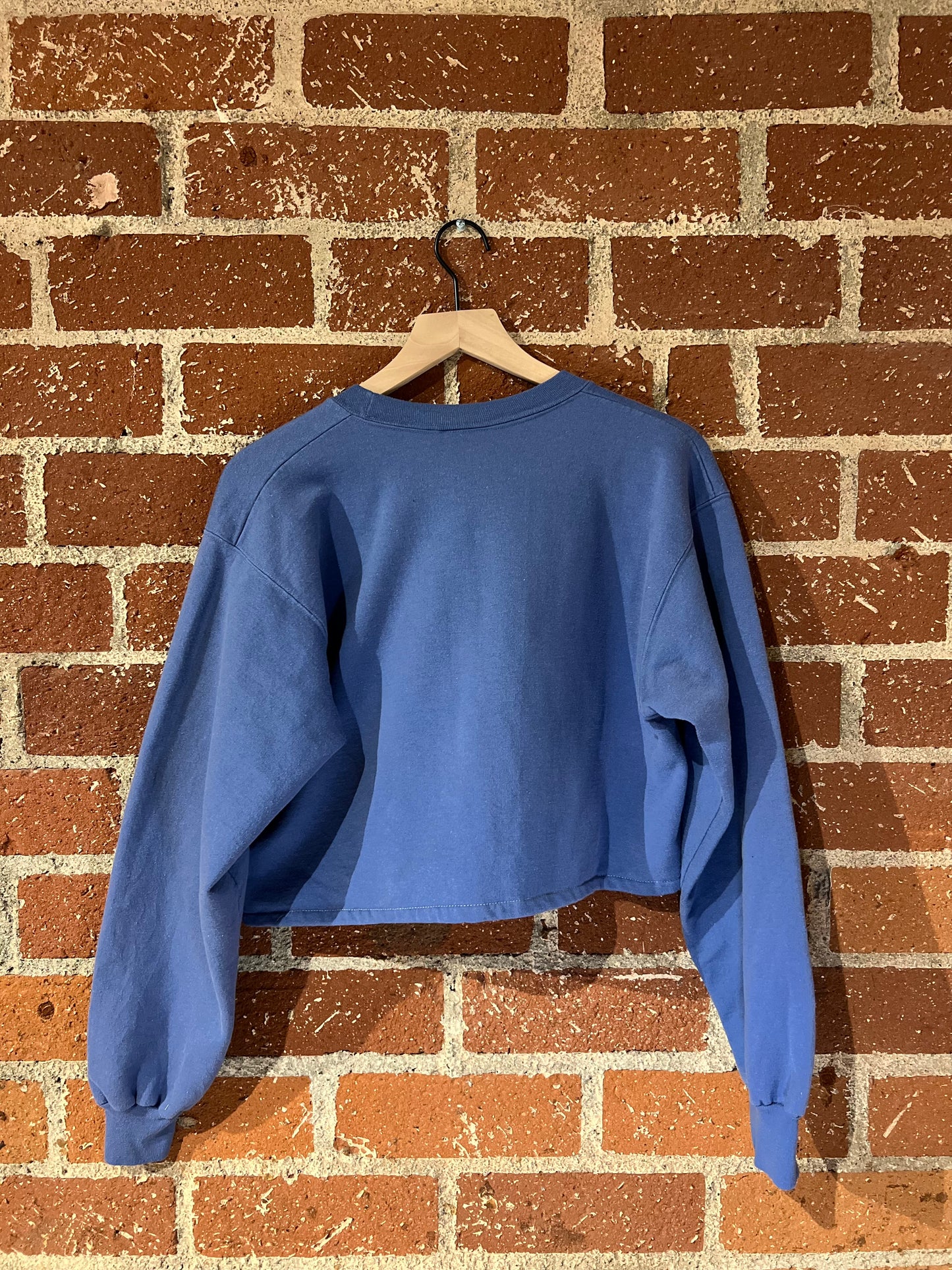 Vintage Cropped Crew M: Colorado