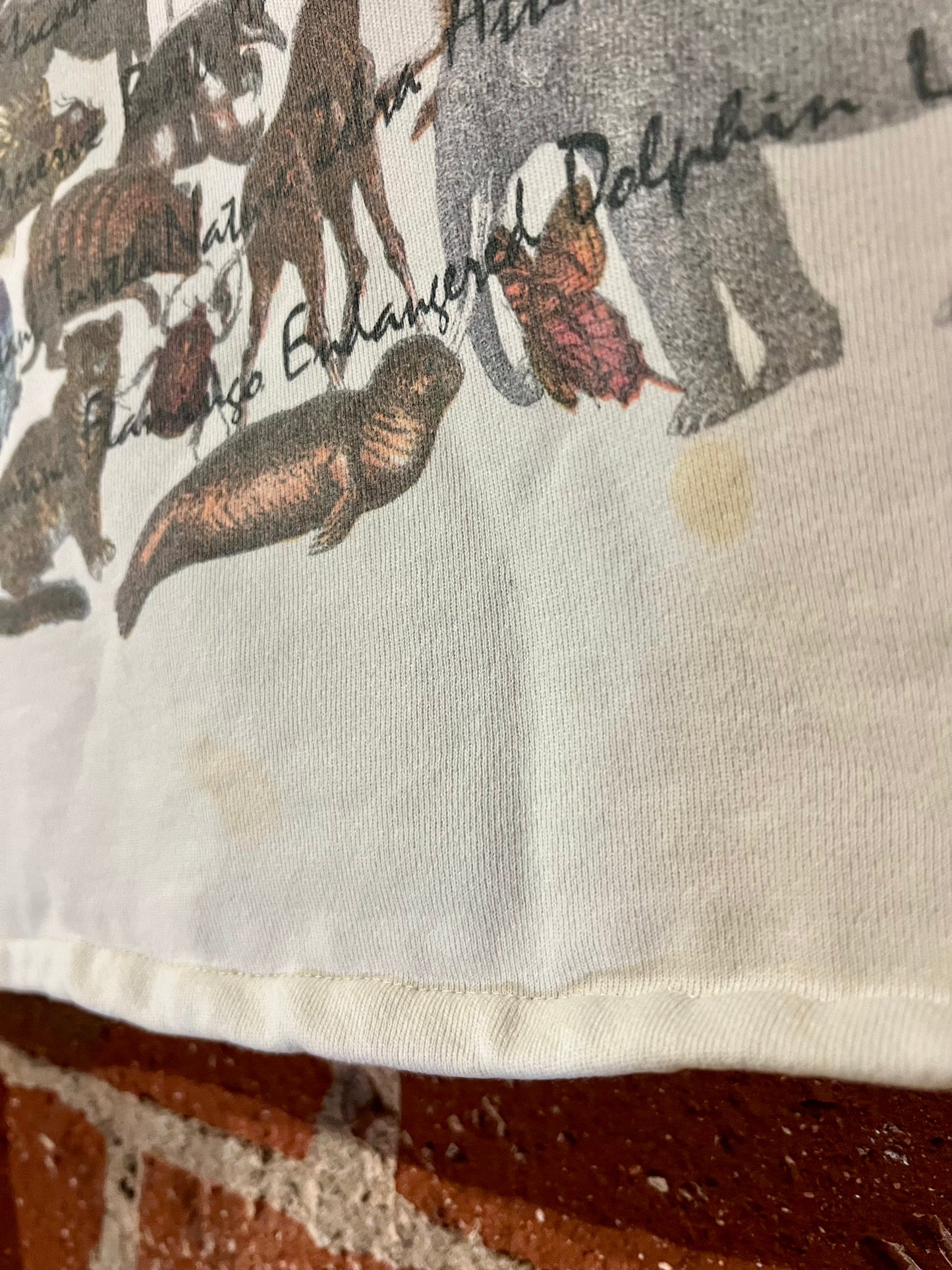 Vintage Cropped Crew L: Fauna