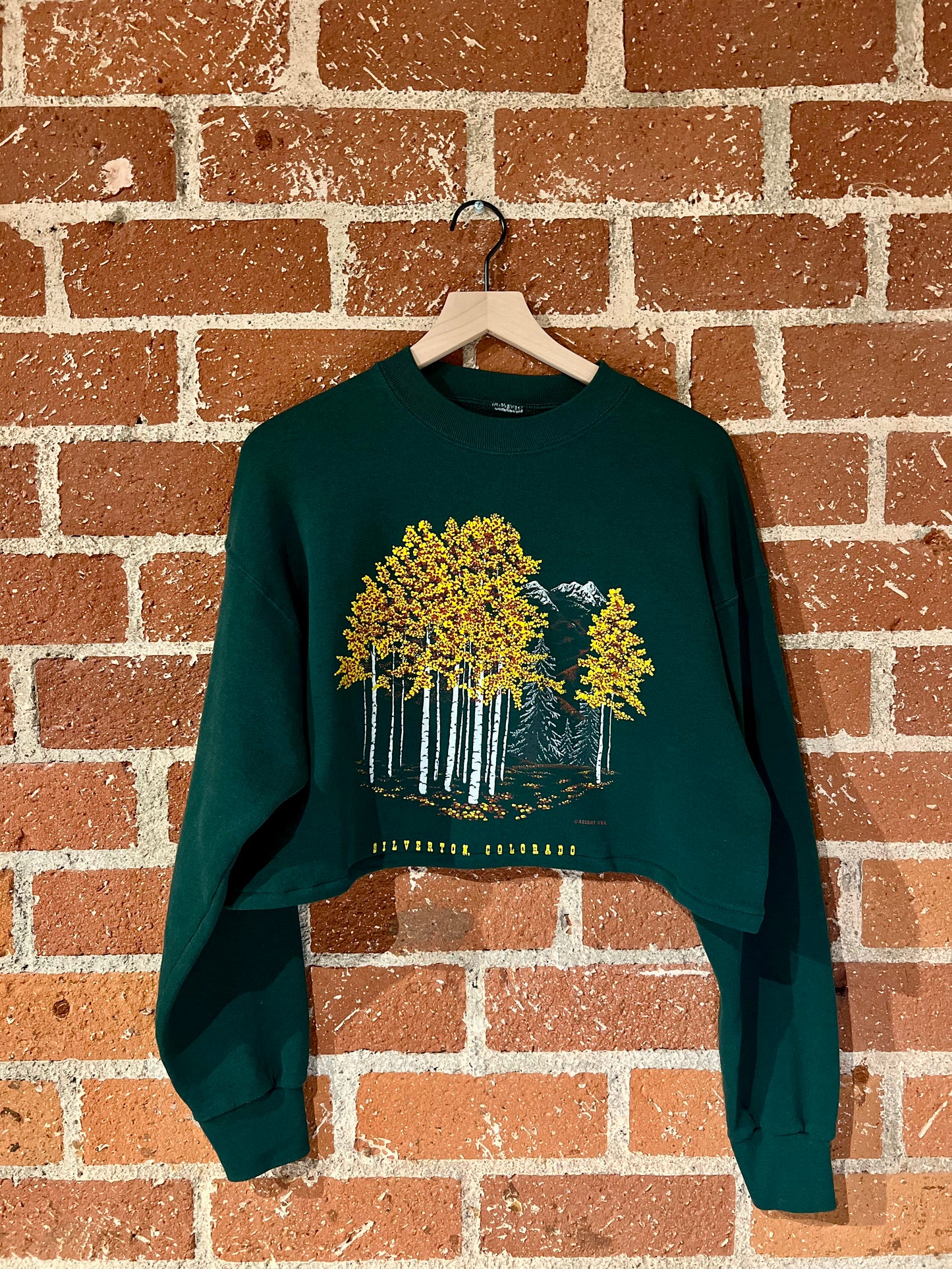 Vintage Cropped Crew L: Silverton, Colorado