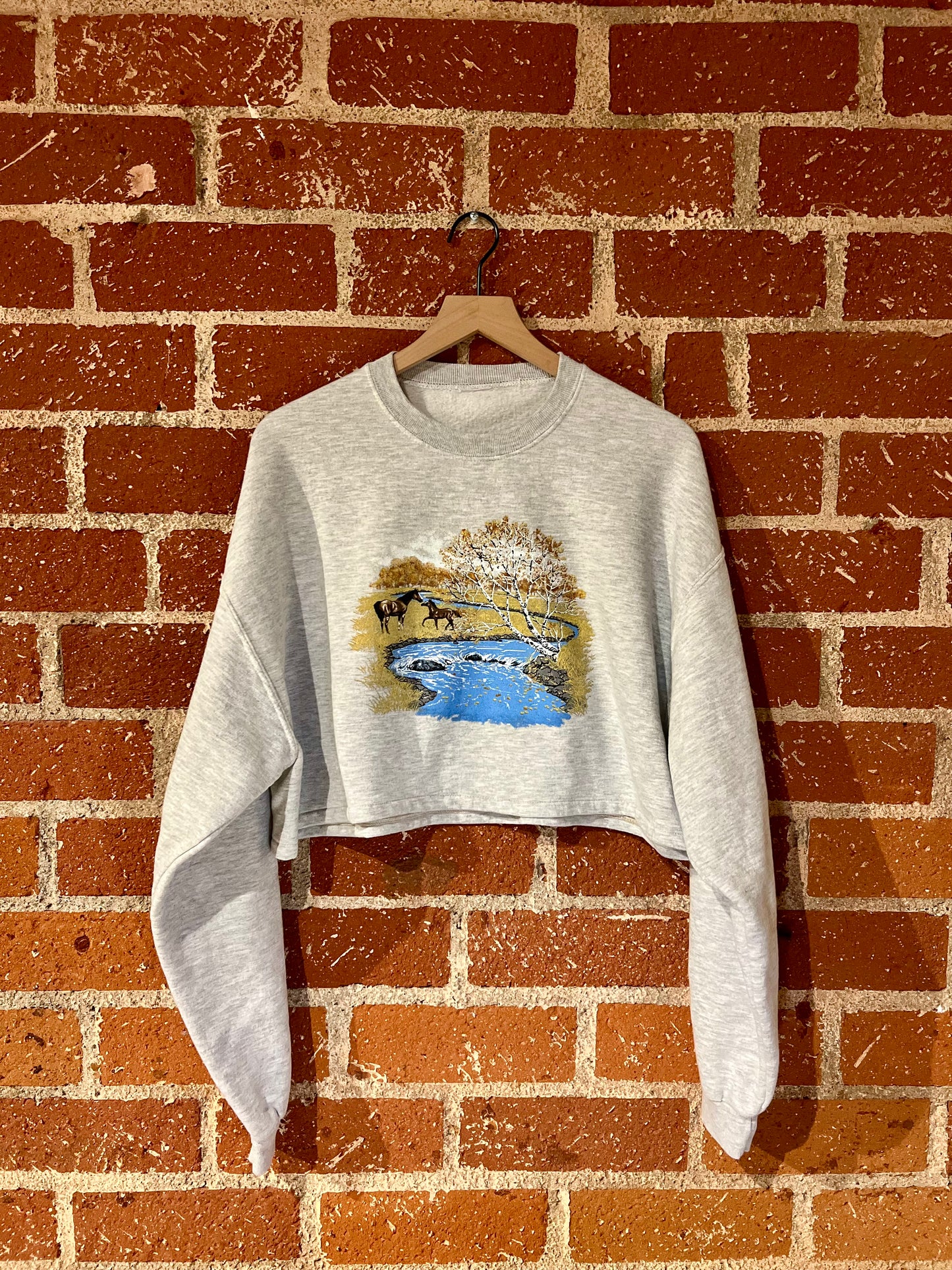 Vintage Cropped Crew L: River Range