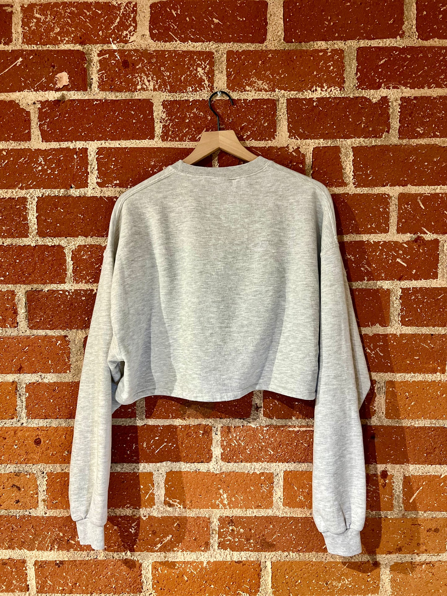 Vintage Cropped Crew L: River Range