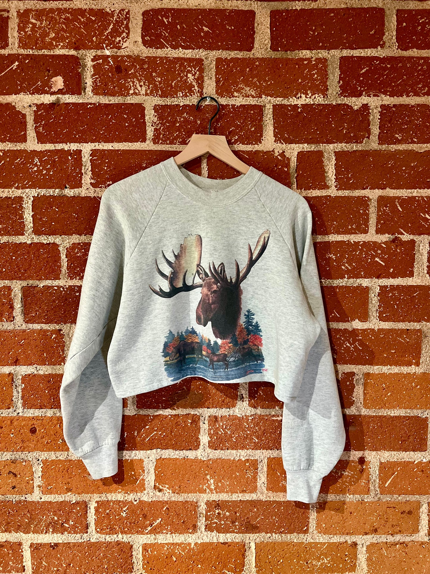 Vintage Cropped Crew L: Moose Crossing