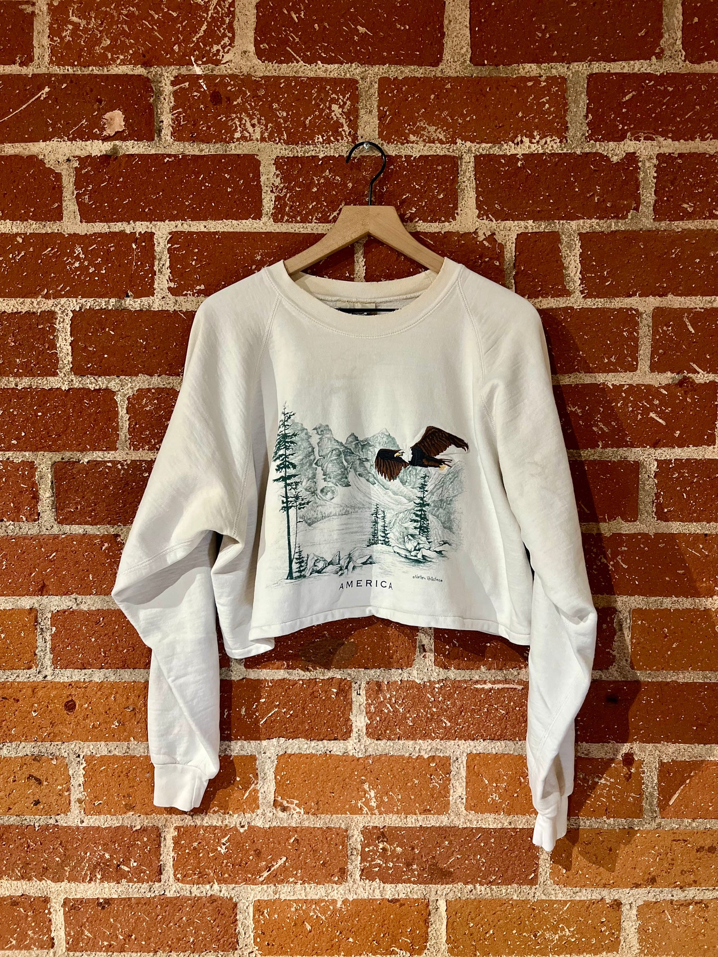 Vintage Cropped Crew XL: American Eagle
