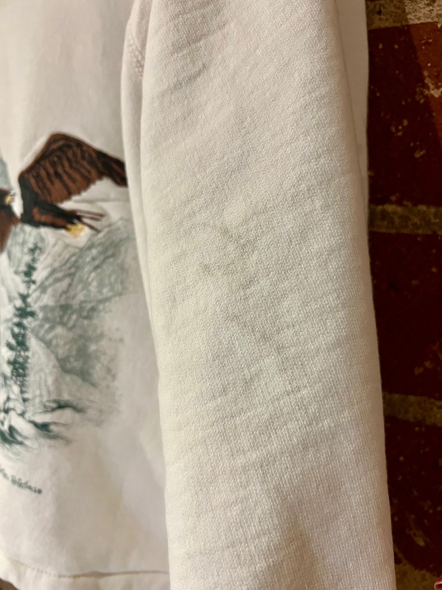 Vintage Cropped Crew XL: American Eagle