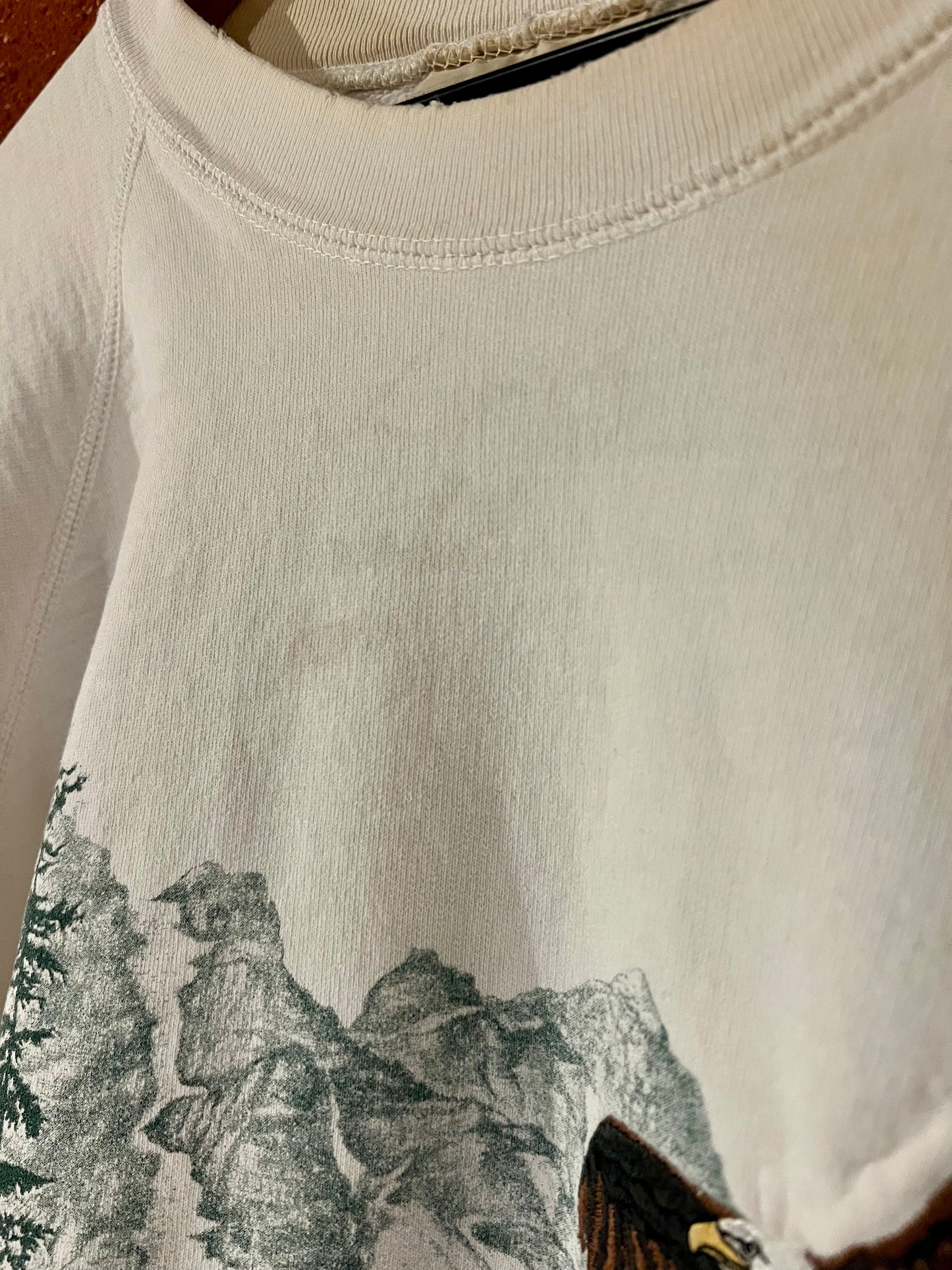 Vintage Cropped Crew XL: American Eagle