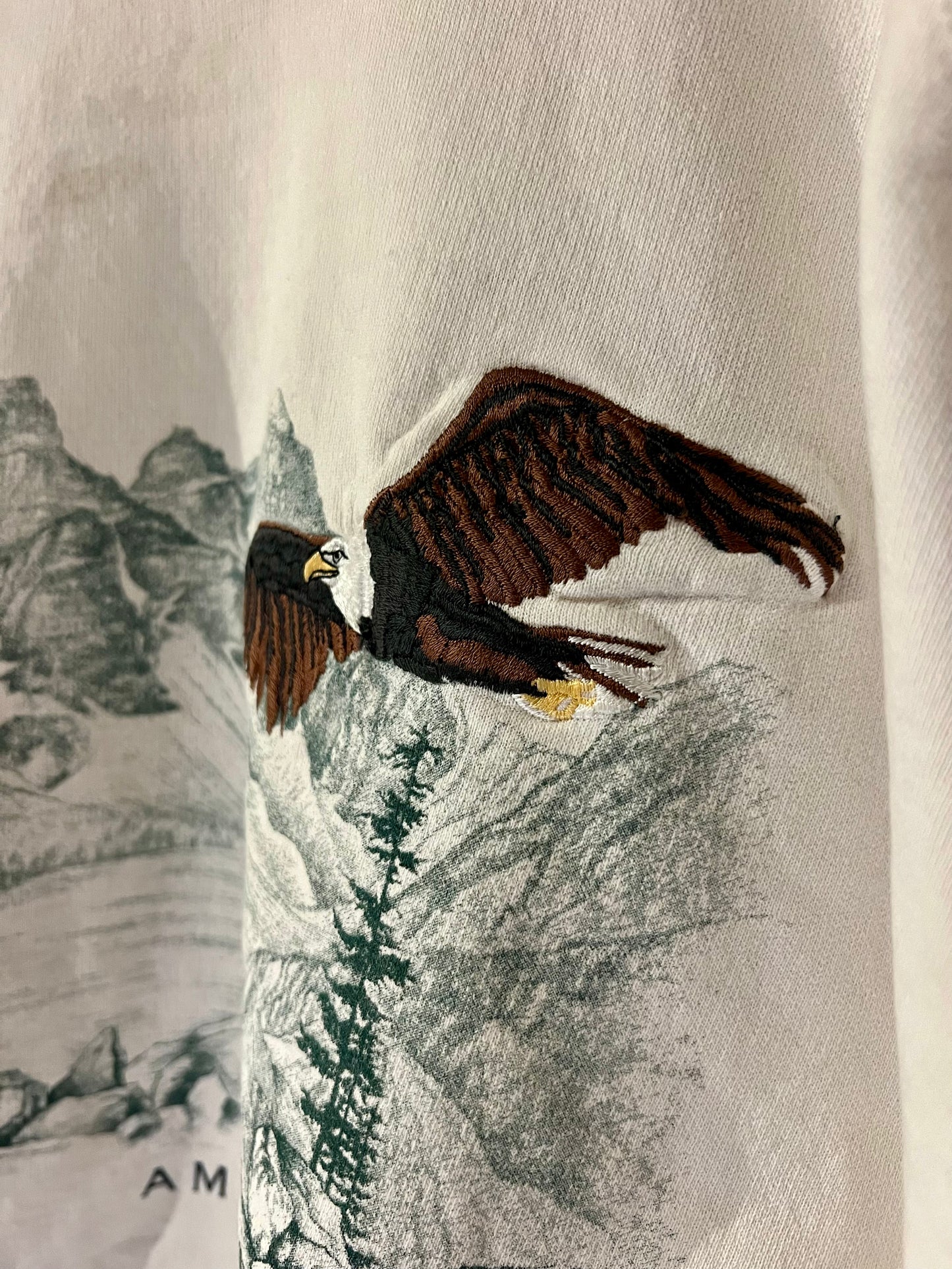 Vintage Cropped Crew XL: American Eagle