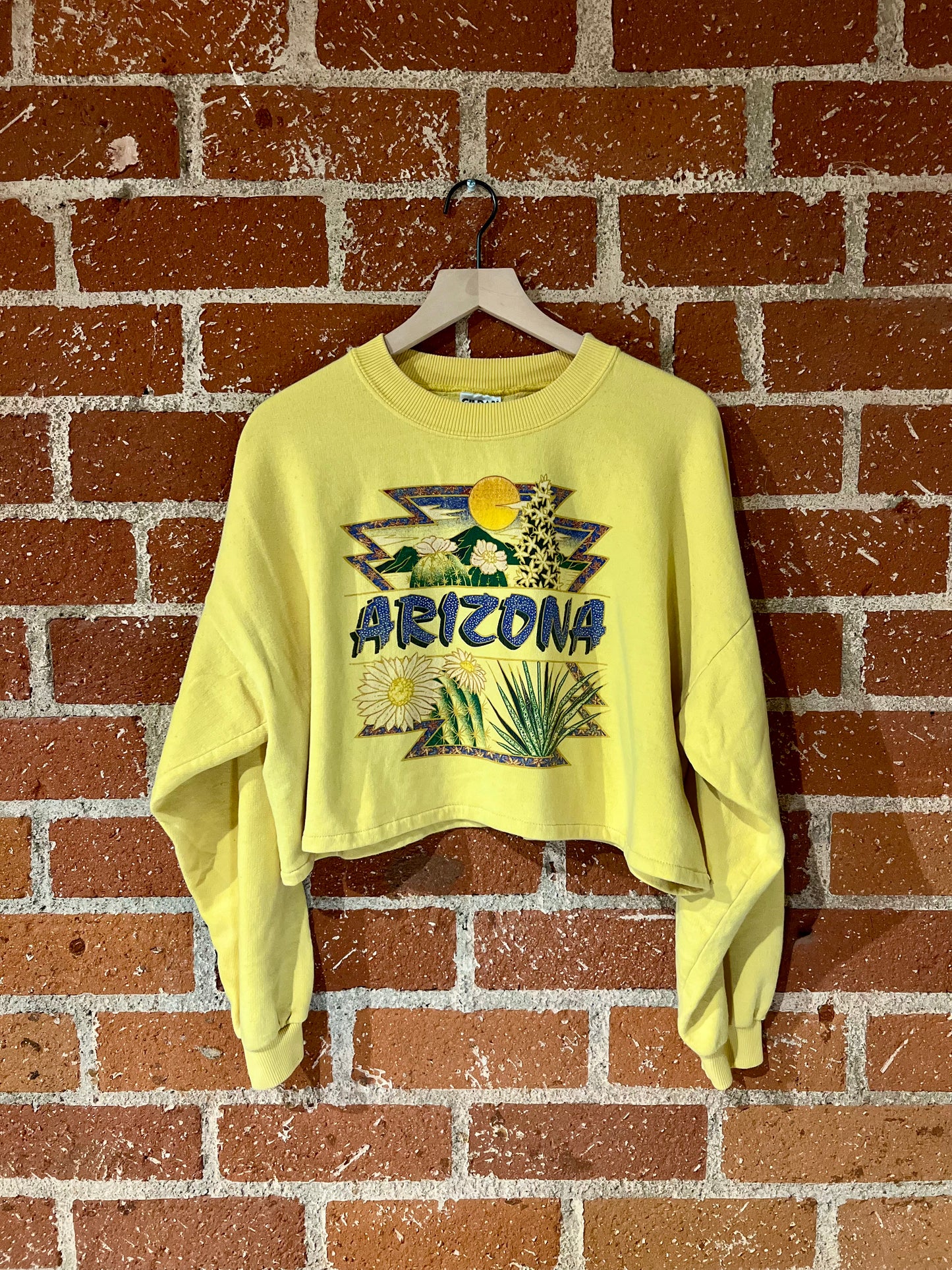 Vintage Cropped Crew XL: Arizona Sun