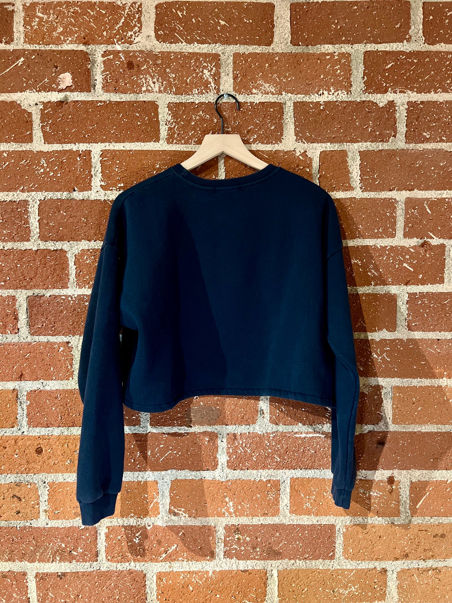 Vintage Cropped Crew XL: Niagara Falls