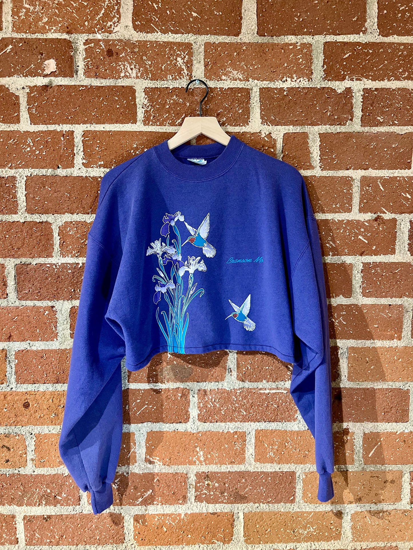 Vintage Cropped Crew XL: Branson Hummingbirds