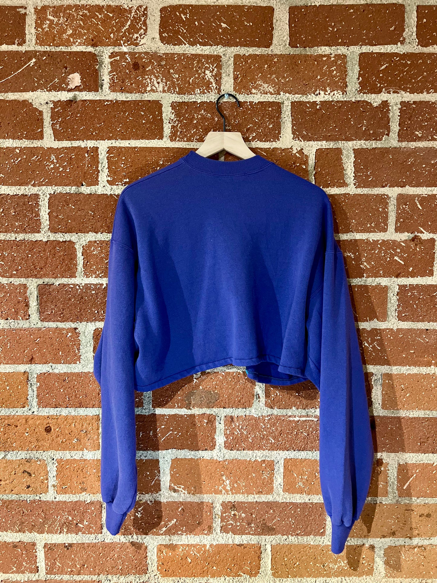 Vintage Cropped Crew XL: Branson Hummingbirds