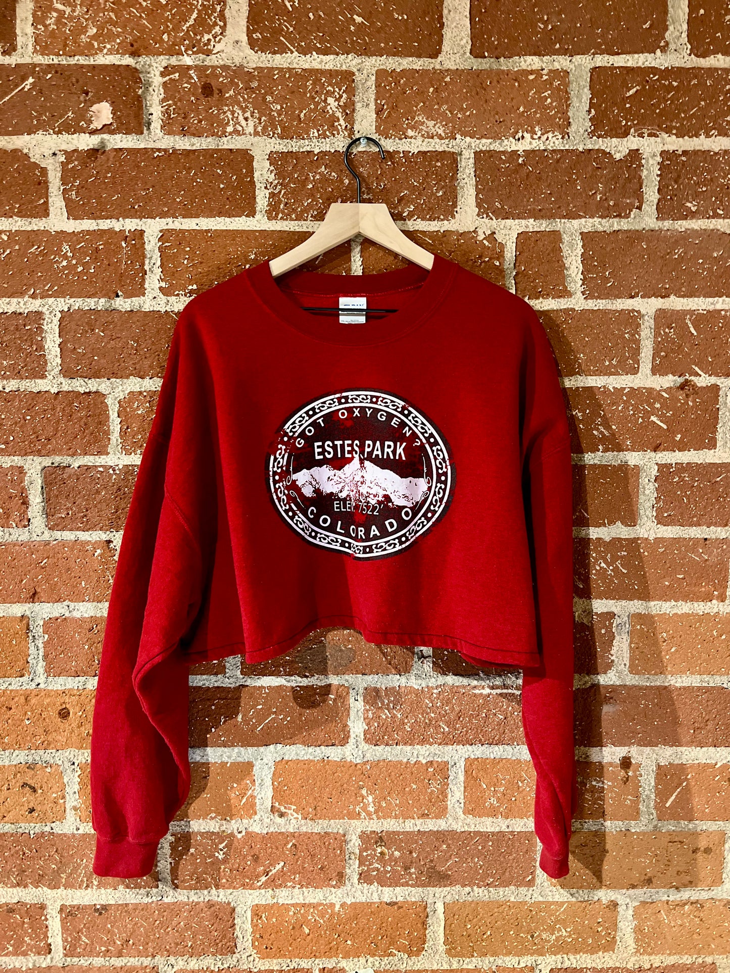 Vintage Cropped Crew XXL: Estes Park, CO