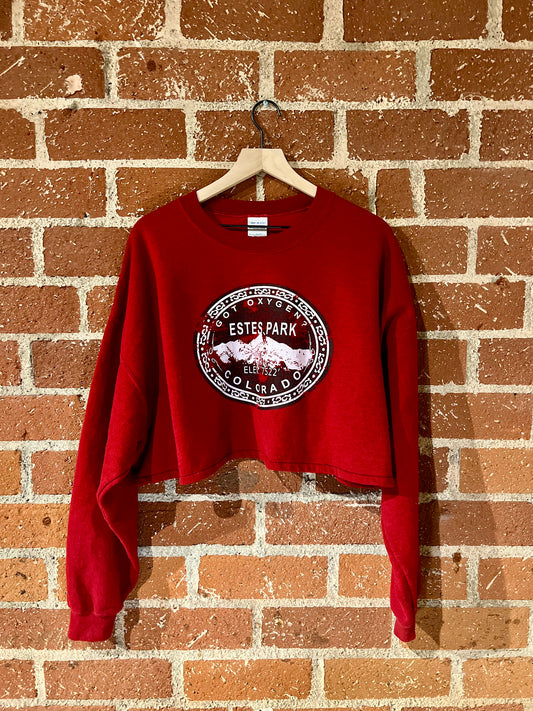 Vintage Cropped Crew XXL: Estes Park, CO
