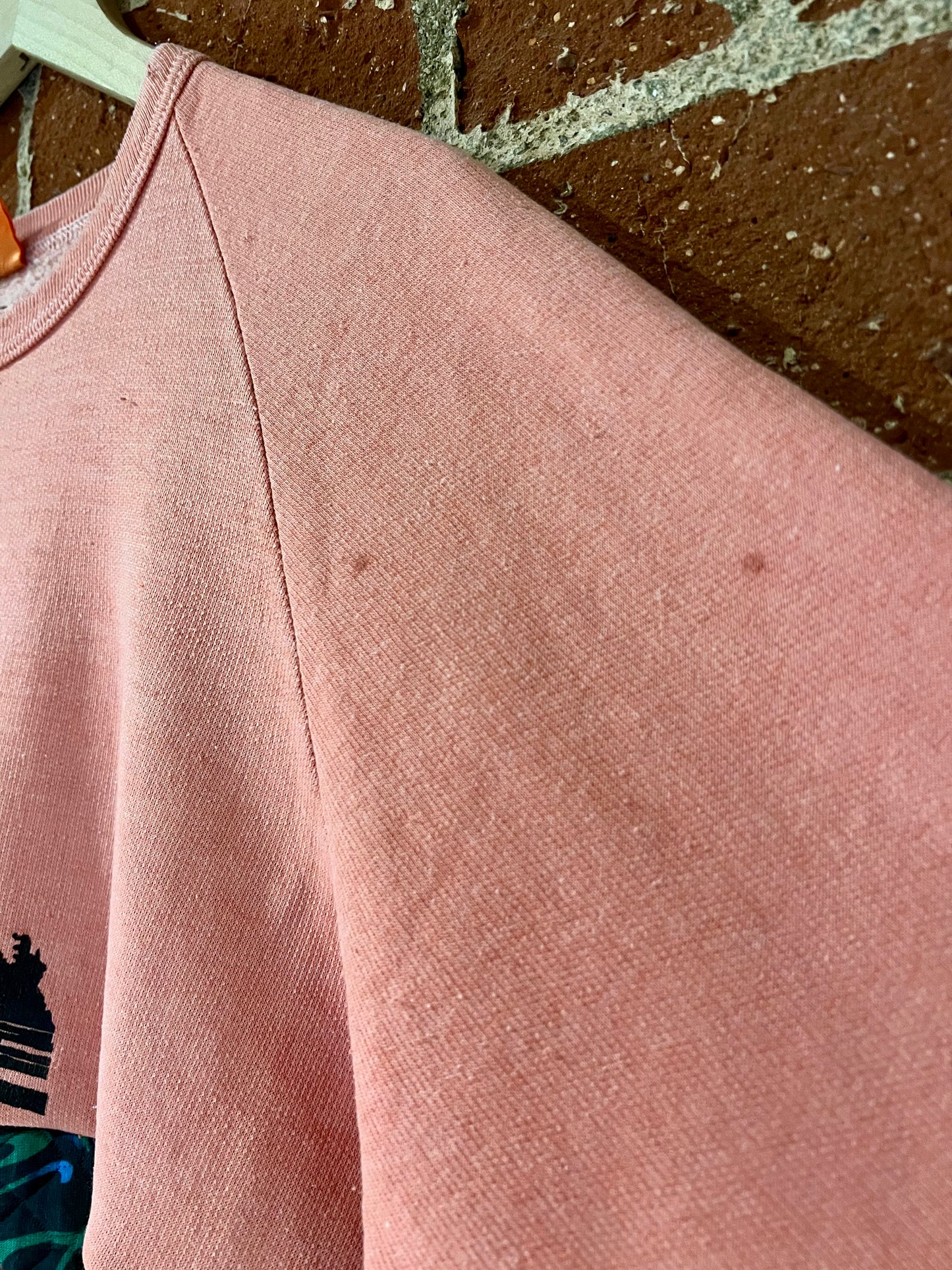 Vintage Remade Cropped Crew L: Canoe Crater Lake